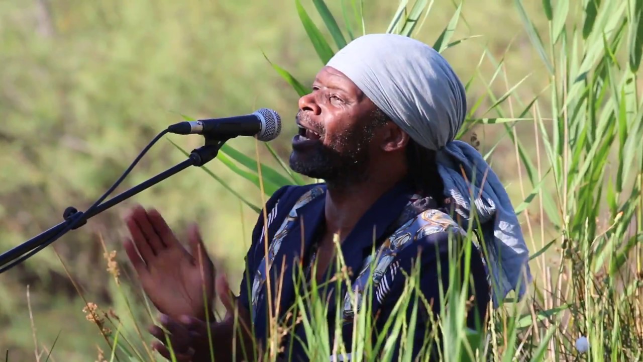Balade Jazz et Nature 2018 au Scamandre