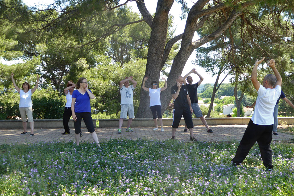 Vauvert :  fin de saison pour le Qi Gong et le Tai Chi Chuan