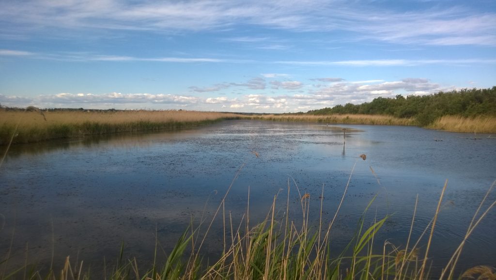 La Petite Camargue tient à son identité et veut conforter son attrait touristique