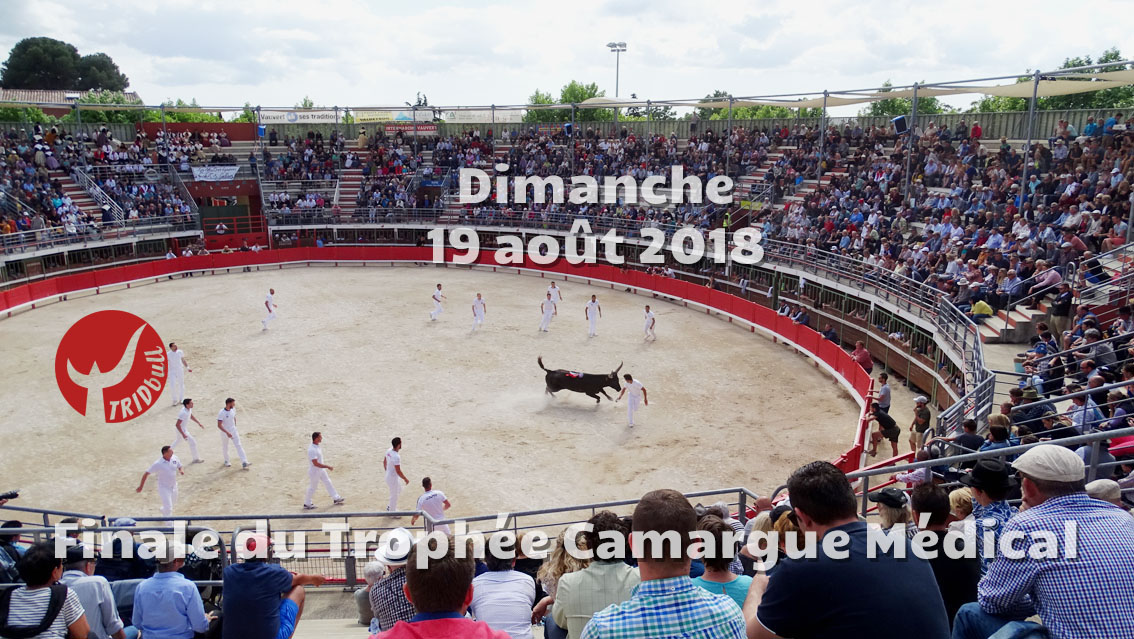 Le TRIDbull revient à Vauvert pour la grande course des As, ce dimanche 19 août