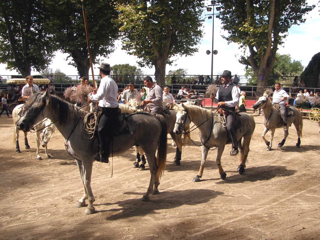 Le Cailar a tenu sa 17ème fête de la saladelle
